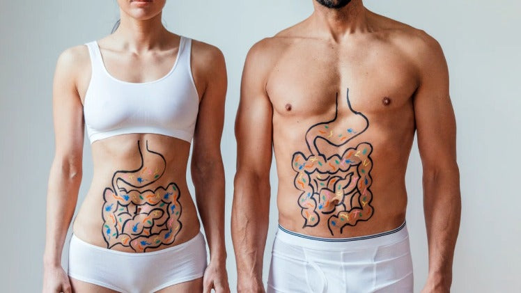 Male and Female image with intestine overlaid. Gut health concept